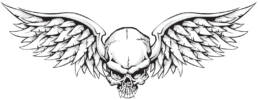 Winged Skull by Shawn M. Kent